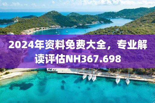 2024年資料免費大全，專業解讀評估NH367.698