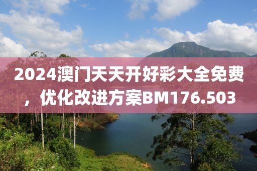 2024澳門天天開好彩大全免費，優化改進方案BM176.503