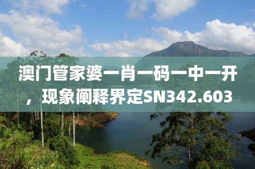 澳門管家婆一肖一碼一中一開，現象闡釋界定SN342.603