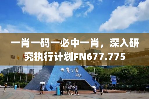 一肖一碼一必中一肖，深入研究執行計劃FN677.775