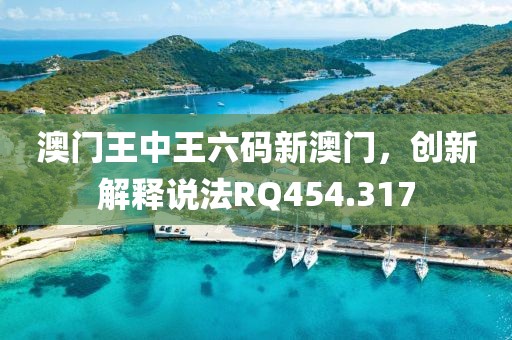 澳門王中王六碼新澳門，創新解釋說法RQ454.317