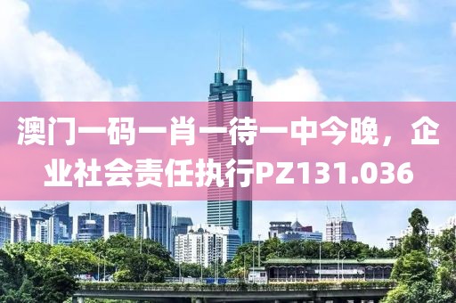 澳門一碼一肖一待一中今晚，企業社會責任執行PZ131.036