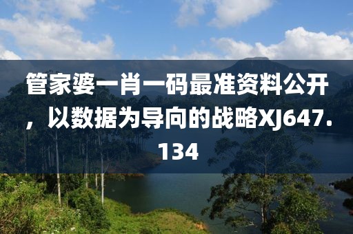 管家婆一肖一碼最準資料公開，以數據為導向的戰略XJ647.134