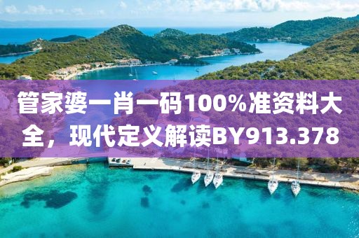 管家婆一肖一碼100%準資料大全，現代定義解讀BY913.378