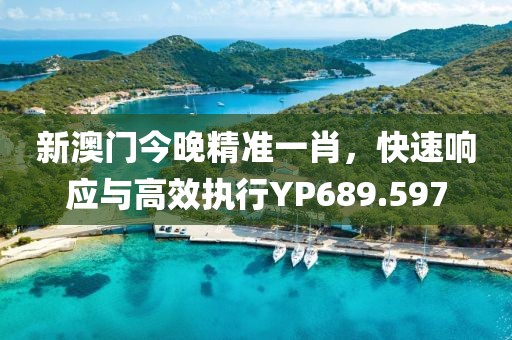 新澳門今晚精準一肖，快速響應與高效執行YP689.597