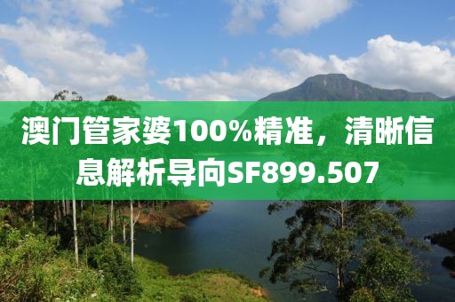 澳門管家婆100%精準，清晰信息解析導向SF899.507