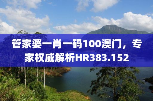 管家婆一肖一碼100澳門，專家權威解析HR383.152