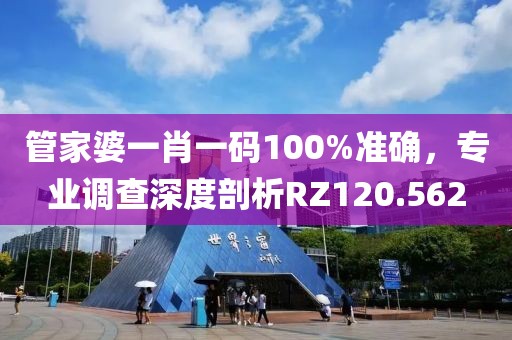 管家婆一肖一碼100%準確，專業調查深度剖析RZ120.562