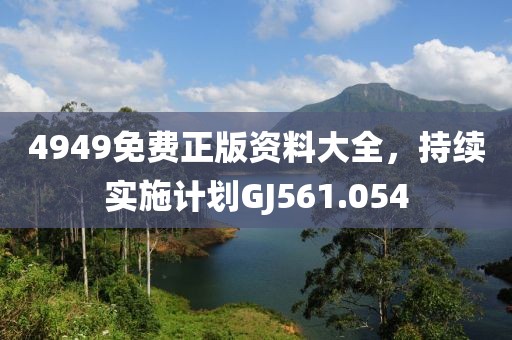 4949免費正版資料大全，持續實施計劃GJ561.054