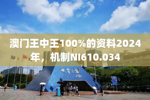 澳門王中王100%的資料2024年，機制NI610.034