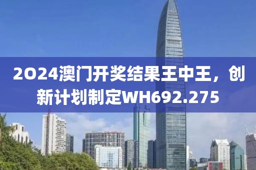 2O24澳門開獎結果王中王，創新計劃制定WH692.275