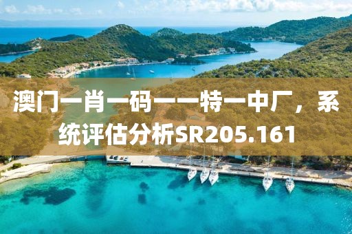 澳門一肖一碼一一特一中廠，系統評估分析SR205.161