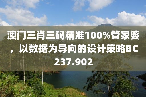 澳門三肖三碼精準100%管家婆，以數據為導向的設計策略BC237.902