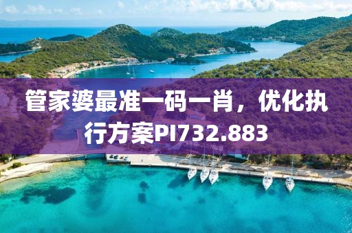 管家婆最準一碼一肖，優化執行方案PI732.883