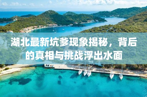 湖北最新坑爹現象揭秘，背后的真相與挑戰浮出水面