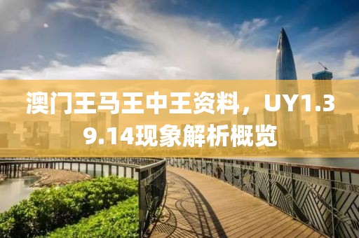 澳門王馬王中王資料，UY1.39.14現象解析概覽