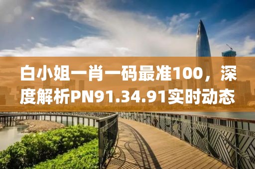 白小姐一肖一碼最準100，深度解析PN91.34.91實時動態