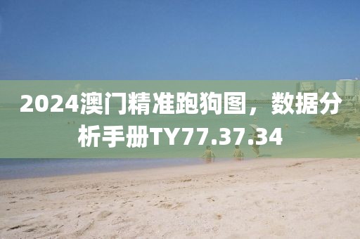 2024澳門精準跑狗圖，數據分析手冊TY77.37.34