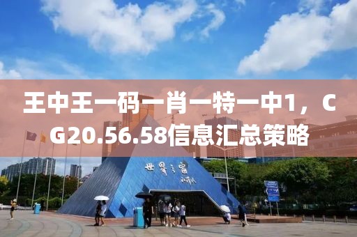 王中王一碼一肖一特一中1，CG20.56.58信息匯總策略