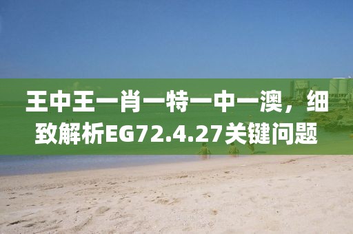 王中王一肖一特一中一澳，細致解析EG72.4.27關鍵問題