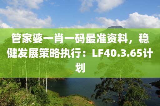 管家婆一肖一碼最準資料，穩健發展策略執行：LF40.3.65計劃