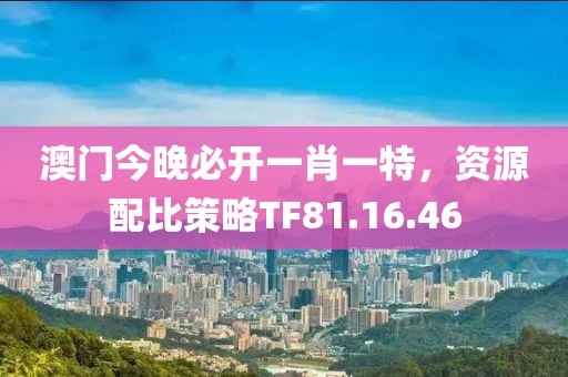 澳門今晚必開一肖一特，資源配比策略TF81.16.46