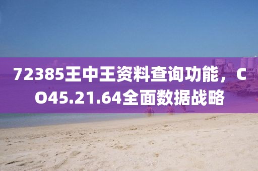 72385王中王資料查詢功能，CO45.21.64全面數據戰略