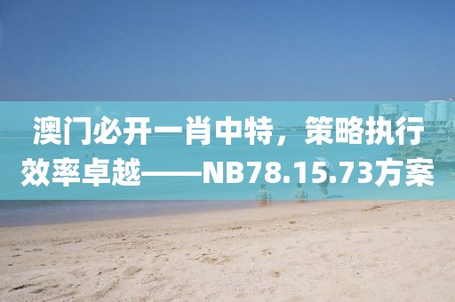 澳門必開一肖中特，策略執行效率卓越——NB78.15.73方案