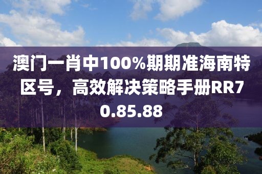 澳門一肖中100%期期準海南特區號，高效解決策略手冊RR70.85.88