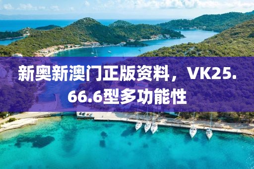 新奧新澳門正版資料，VK25.66.6型多功能性