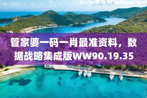 管家婆一碼一肖最準資料，數據戰略集成版WW90.19.35