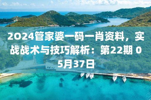 2O24管家婆一碼一肖資料，實戰戰術與技巧解析：第22期 05月37日