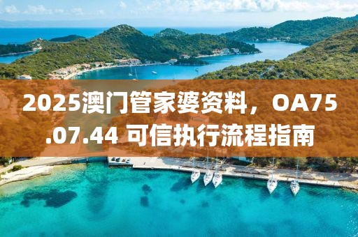 2025澳門管家婆資料，OA75.07.44 可信執行流程指南