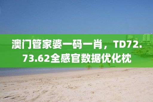 澳門管家婆一碼一肖，TD72.73.62全感官數據優化枕