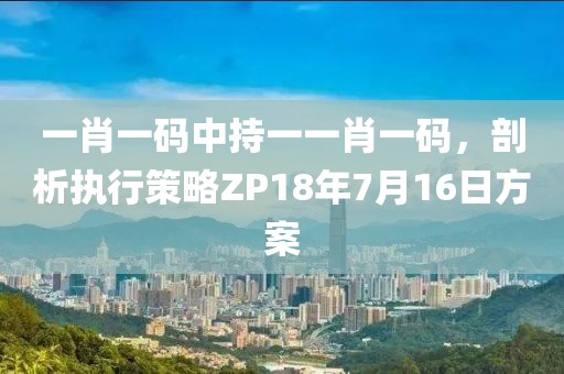 一肖一碼中持一一肖一碼，剖析執行策略ZP18年7月16日方案