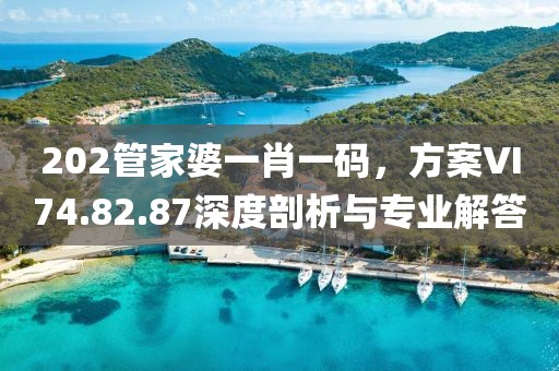 202管家婆一肖一碼，方案VI74.82.87深度剖析與專業解答