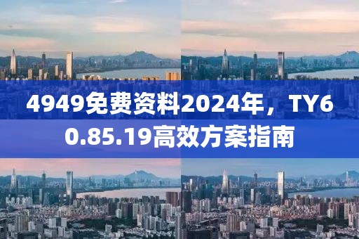 4949免費資料2024年，TY60.85.19高效方案指南