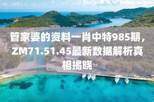 管家婆的資料一肖中特985期，ZM71.51.45最新數據解析真相揭曉