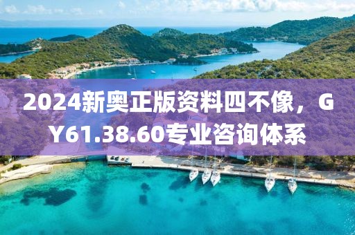 2024新奧正版資料四不像，GY61.38.60專業咨詢體系