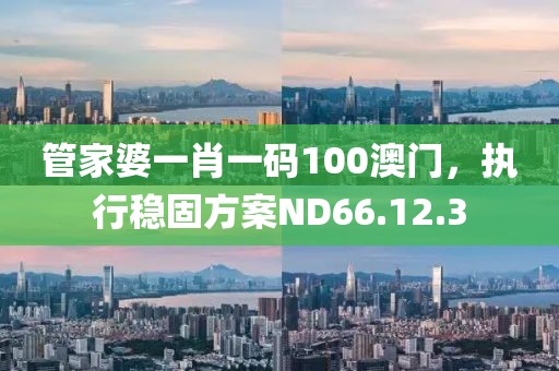 管家婆一肖一碼100澳門，執行穩固方案ND66.12.3