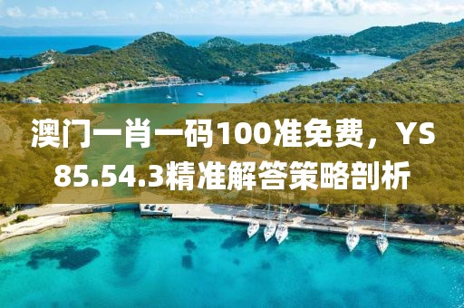 澳門一肖一碼100準免費，YS85.54.3精準解答策略剖析