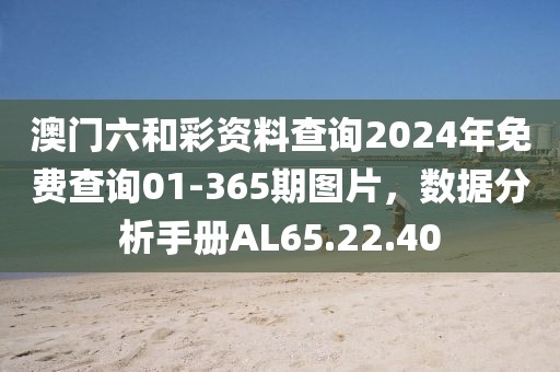 澳門六和彩資料查詢2024年免費查詢01-365期圖片，數據分析手冊AL65.22.40