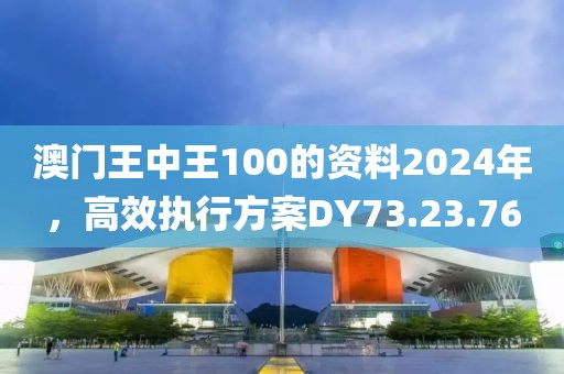 澳門王中王100的資料2024年，高效執行方案DY73.23.76