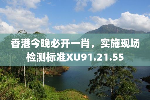 香港今晚必開一肖，實施現場檢測標準XU91.21.55