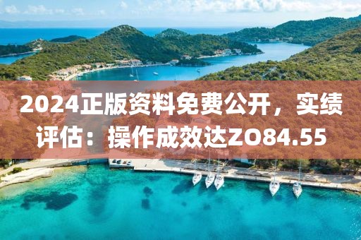 2024正版資料免費公開，實績評估：操作成效達ZO84.55