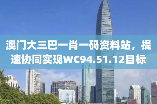 澳門大三巴一肖一碼資料站，提速協同實現WC94.51.12目標