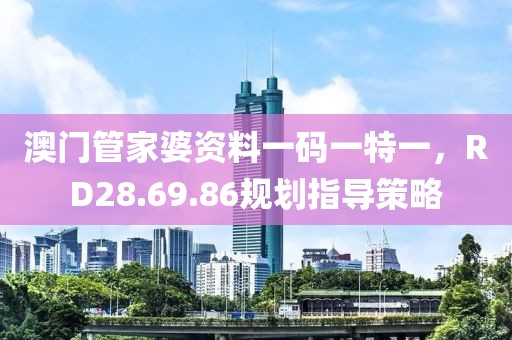 澳門管家婆資料一碼一特一，RD28.69.86規劃指導策略