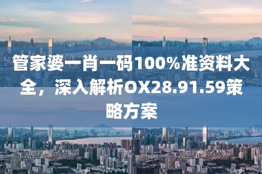 管家婆一肖一碼100%準資料大全，深入解析OX28.91.59策略方案