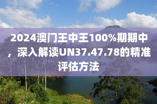 2024澳門王中王100%期期中，深入解讀UN37.47.78的精準評估方法