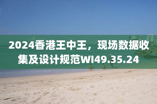 2024香港王中王，現場數據收集及設計規范WI49.35.24